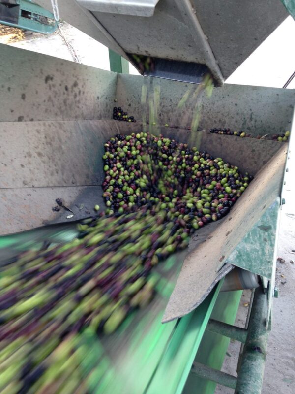 IMG 0777 A4 1080x1440 1